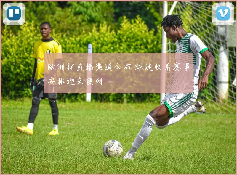 欧洲杯直播渠道公布 球迷收看赛事安排迎来便利